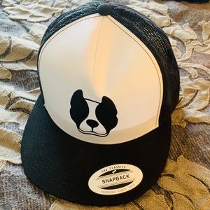 Graphic SnapBack
